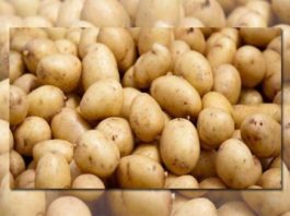الكشف عن لغز اختفاء البطاطا من الأسواق