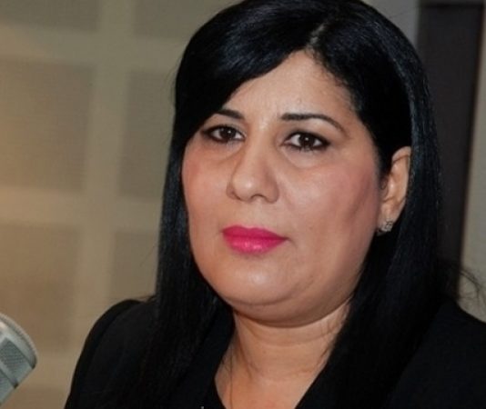 عبير موسي: الدستوري الحر انطلق في عملية تكوين حزام مدني وسياسي يقطع مع الإخوان ومشتقاتهم