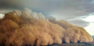 عاصفة ترابية عملاقة تضرب أستراليا…