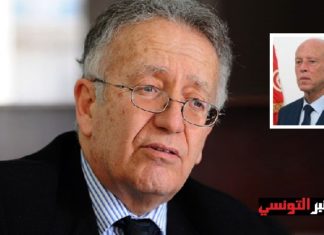عياض بن عاشور يصف قيس سعيد بـ”الرئيس الضد” وهذا رأيه في الديمقراطية المباشرة