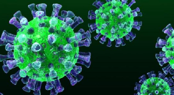 virus-korouna