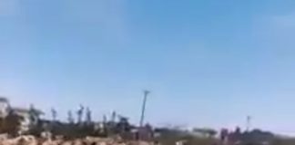 ليبيا: إجلاء 3000 جمل مستوردة من أُستراليا من ميناء طرابلس بعد تعرضه لقصف مدفعي