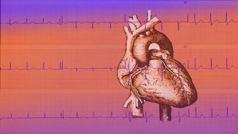 coeur_3