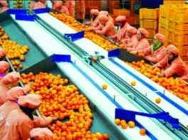 ﻣﻮﺳﻢ 2019 ..2020/ ﺍﺭﺗﻔﺎﻉ ﺻﺎﺩﺭﺍﺕ ﺗﻮﻧﺲ ﻣﻦ ﺍﻟﻘﻮﺍﺭﺹ ﺑﻨﺴﺒﺔ 12 ، 6