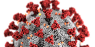 منظمة الصحة العالمية تكشف حقيقة انتشار فيروس كورونا عبر الهواء