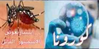 تزامنا مع كورونا..انتشار بعوض “الاشمنيوز” القاتل بسبب انحباس الأمطار وتسجيل إصابات على الحدود