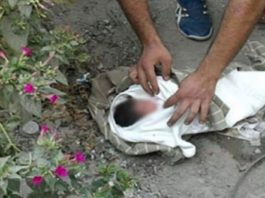 بنزرت: العثور على جثة متحللة لرضيع في مصب فضلات