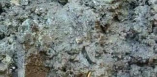 سليانة: راعي أغنام يعثر على كنز جرفته مياه الأمطار ويسلمه للامن