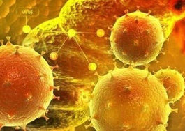 وفاة شخص في الصين.. والسبب ”فيروس هانتا”