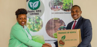 إكزوتيك إي بيه زد المحدودة تلجأ إلى الطاقة الشمسيّة مع ريدافيا