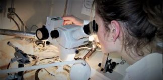 بنزرت: إنجاز مركزين متقدمين للكشف المبكر عن الإصابات بكورونا