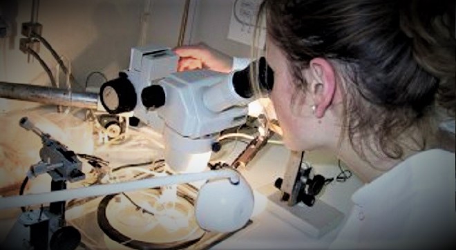 إنجاز مركزين متقدمين للكشف المبكر عن الإصابات بكورونا