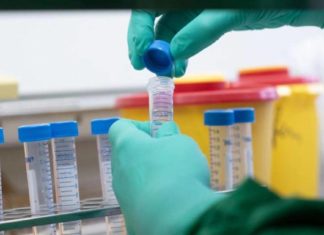 النيكوتين علاج لكورونا؟