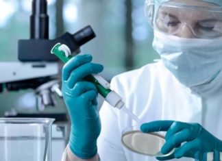 معهد باستور: إمكانية التوصّل للقاح ضدّ كورونا في تونس