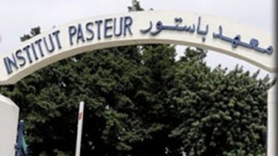 970x546-5e84b29d87ed55e84b29d87ed6