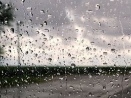 بعد الظهر… أمطار مؤقتا رعدية ومحليا غزيرة