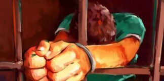 القبض على شخص وحجز دراجات نارية وكمية من القنب الهندي