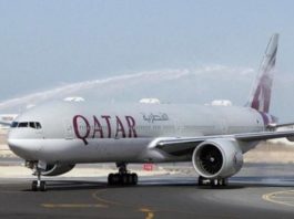 طائر نورس يرتطم بالطائرة القطرية التي أقلّت التونسيين العائدين وكاد يتسبب في كارثة