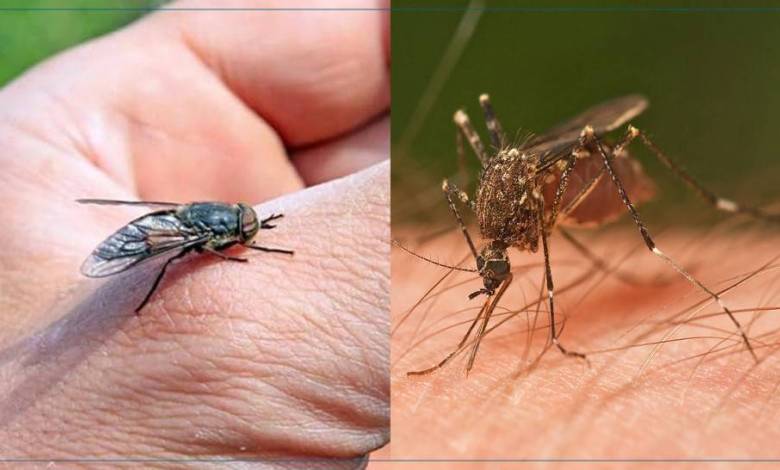 x970x546-5e898037916335e89803791634.jpg.pagespeed.ic_.tglcrCdxJs