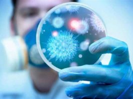 دراسة صينية تكشف عن المناخ الذي ينتشر فيه فيروس كورونا بكثرة