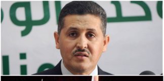 بسبب شبكات الدعارة: نقابات الخطوط التونسية تقاضي عماد الدايمي
