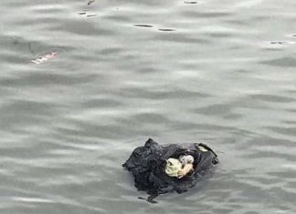 صور: بقي على قيد الحياة واخرجه بحارة: العثور على رضيع حديث الولادة في عرض البحر