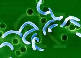 تطاوين: إصابة شقيقان بالحمّى المالطية