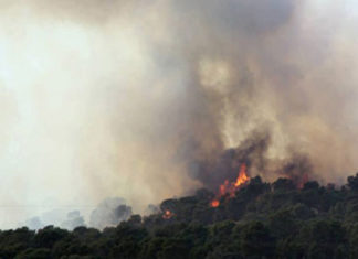 الهوارية: حريق هائل في غابة “دار شيشو”