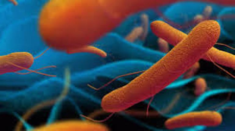 téléchargement (17)