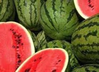 حقيقة تسمم 187 حالة بمستشفى قابس بسبب تناول “الدلاع”