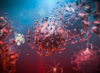 كورونا والإنفلونزا في الخريف..