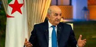تبون: الحل في ليبيا يمكن أن يكون جزائريا- تونسيا