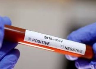 طوال القامة أكثر عرضة للإصابة بفيروس كورونا