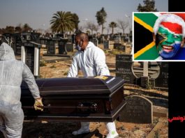 حالة تأهب قصوى بسبب كوفيد-19 في جنوب إفريقيا: عدد الإصابات يتجاوز نصف مليون