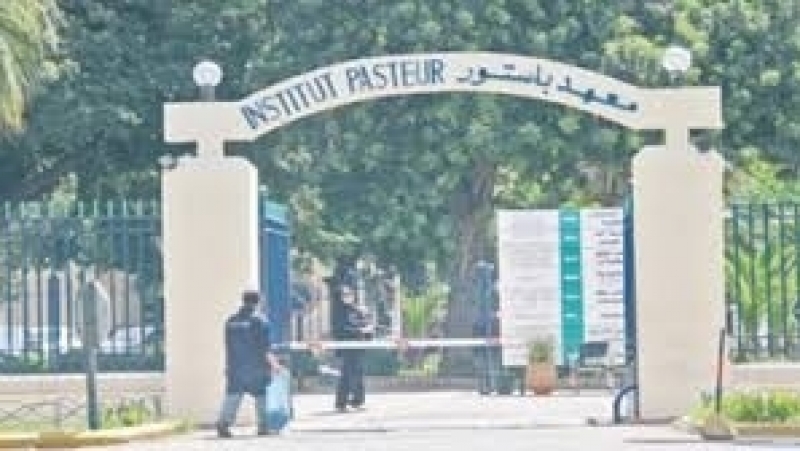 1594127321_article