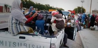 الحكومة تقنن عملية نقل العاملين في القطاع الفلاحي