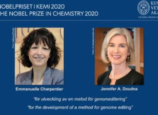 فوز الفرنسية إيمانويل شاربانتييه والأمريكية جنيفر داودنا بجائزة نوبل للكيمياء 2020