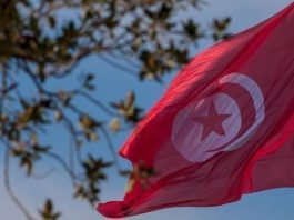 80 % من المؤسسات في تونس عادت لسالف نشاطها بعد الحجر الصحّي العام