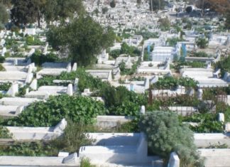 تونس الكبرى: أكثر من 30 مقبرة أغلقت أبوابها..