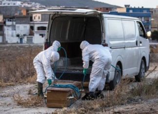 كورونا: 25 وفاة في يوم واحد