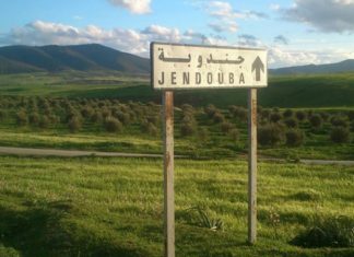 جندوبة:عون أمن استولى على قطعة أرض تابعة للمجلس البلدي