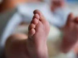 في جريمة بشعة.. وفاة رضيع الـ4 أشهر جوعا بعد أن تركه والداه وحيدا