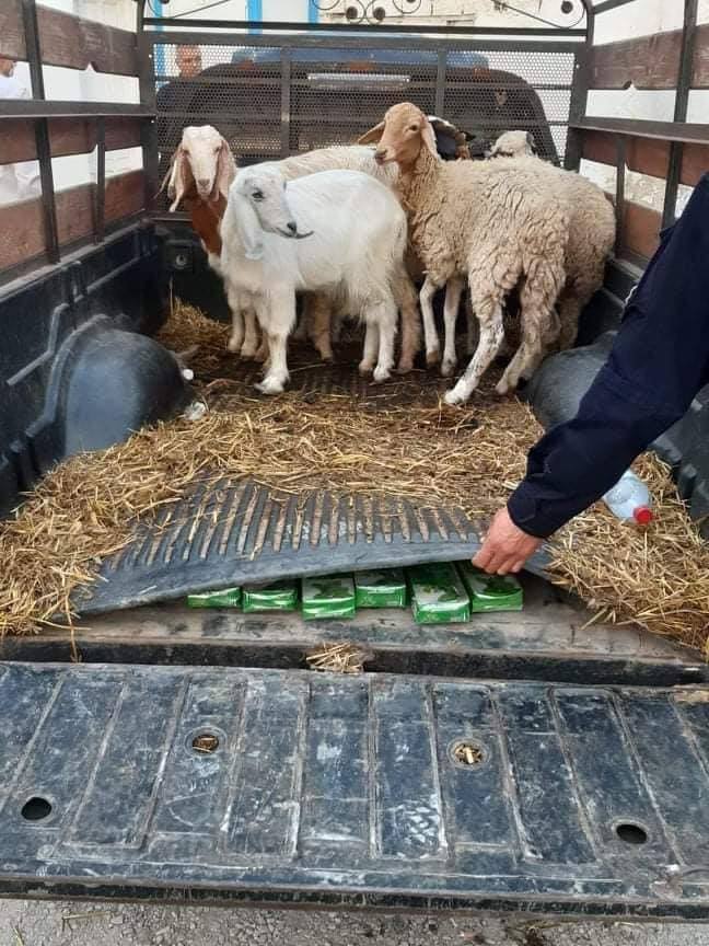 125490064_373667680383588_6508790719444892482_n