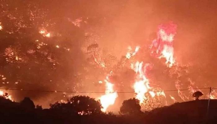 154-112049-forest-fires-in-algeria_700x400