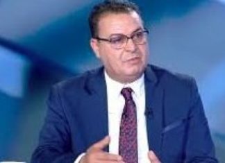 زهير المغزاوي:المشيشي وضع فصلا خاصا بنبيل القروي في قانون المالية