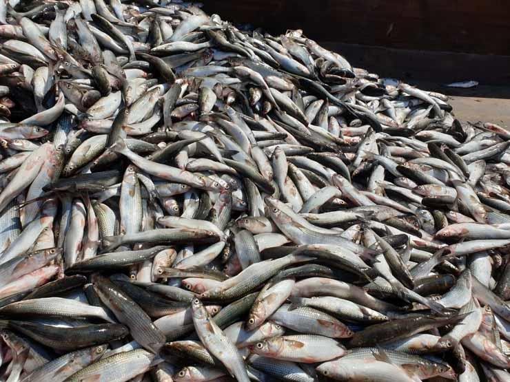 2019_9_21_15_50_39_337