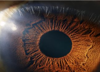 اكتشاف أنسجة في عين الإنسان تبدو مقاومة لكورونا