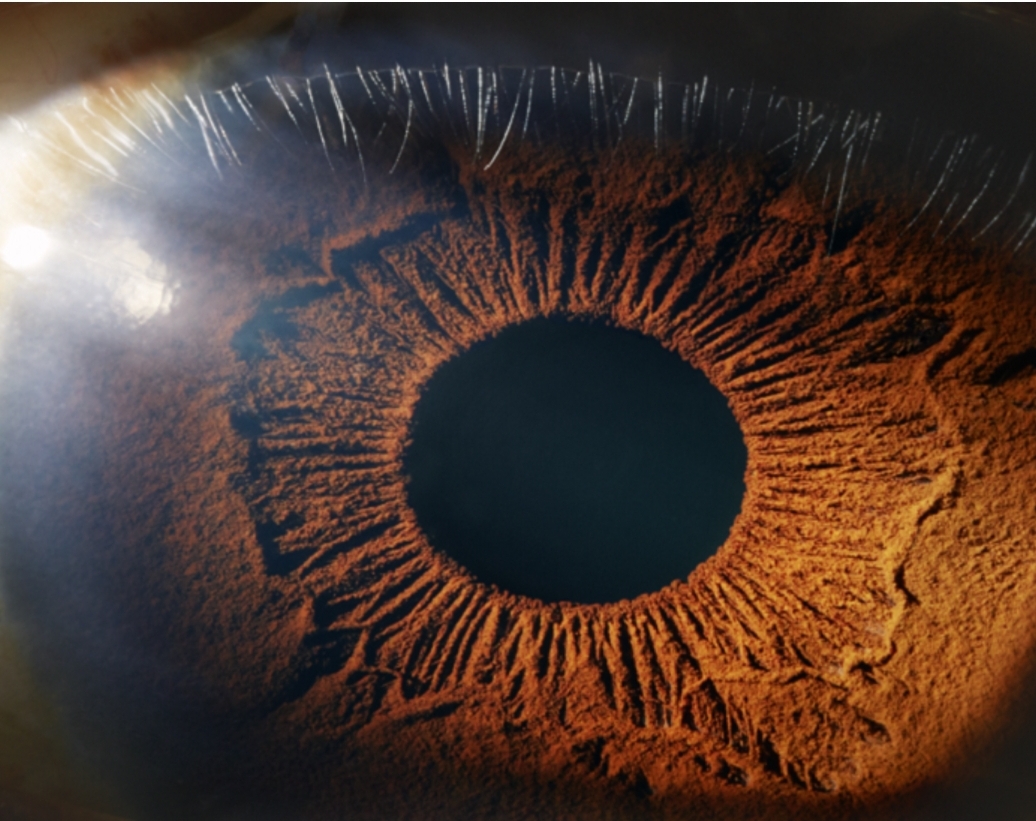 Screenshot_20201105-193801_Google