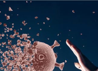 فريق علمي يتحدث عن سبب فقدان الشم والذوق لدى مصابي كورونا