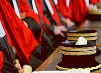 القضاة يطالبون بجوازات سفر ديبلوماسية